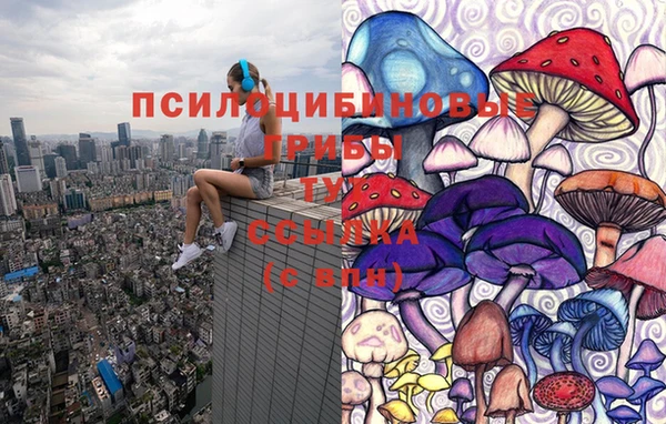 дмт Аркадак