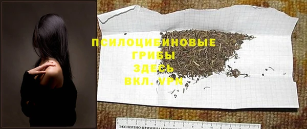 дмт Аркадак
